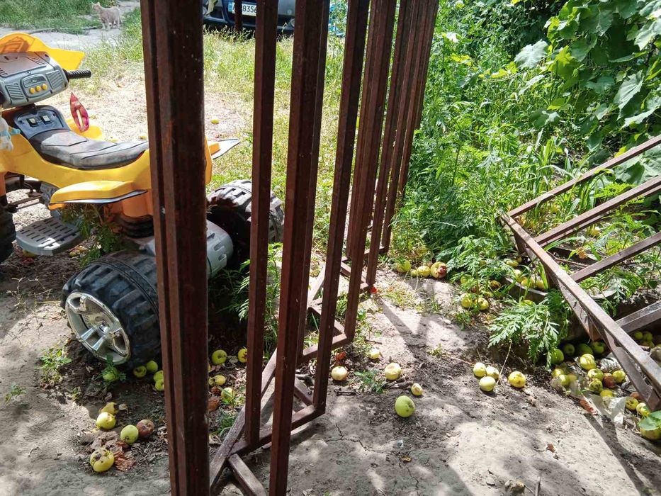 Продам сходи заготовки дві половини