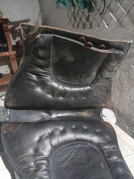 Sela  portuguesa  razoavel