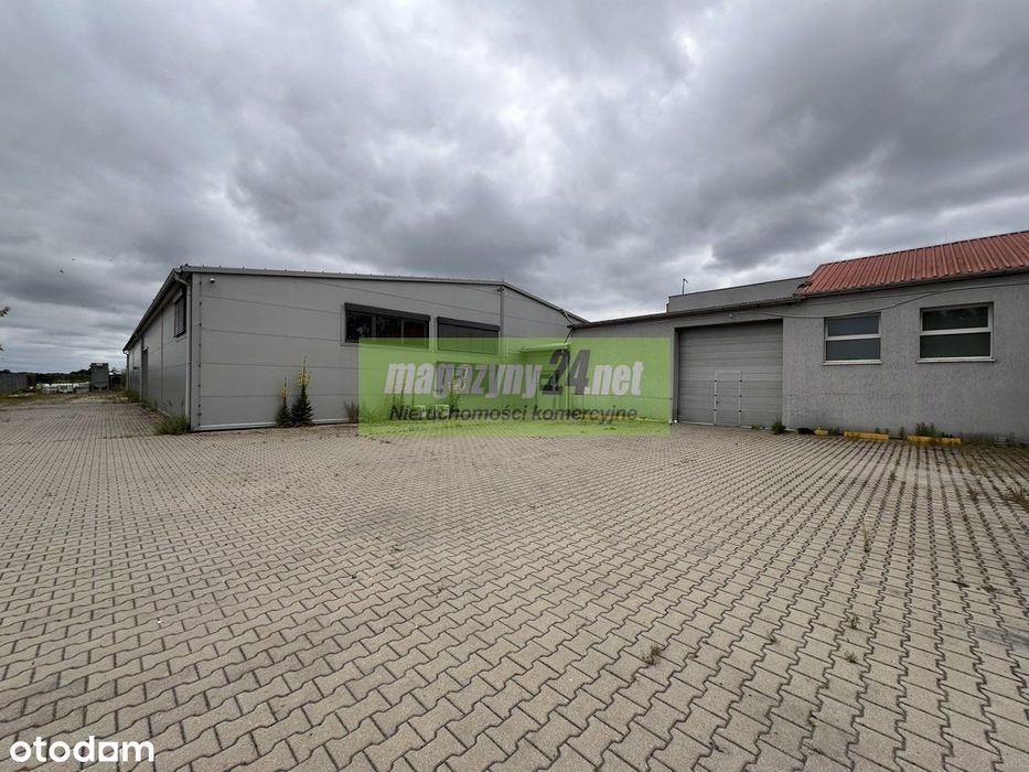 Szczecin, Goleniów, wynajem, hala, magazyn