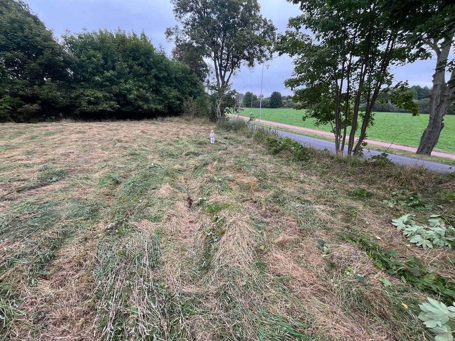 Działka 1451m2 ; cena 85 zł za metr działki nr: 41/6