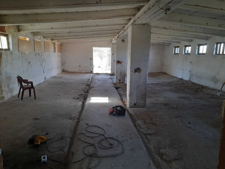 Magazyn, Hala,Budynek, Pieczarkarnia 162m² dzialka 22ar