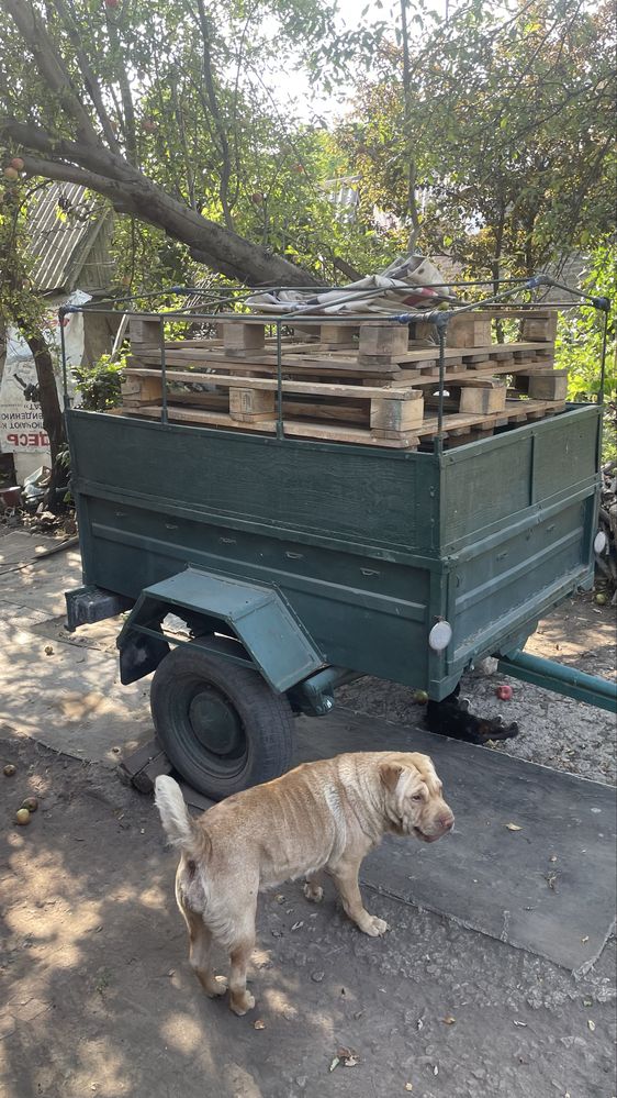 Прицеп одноосный