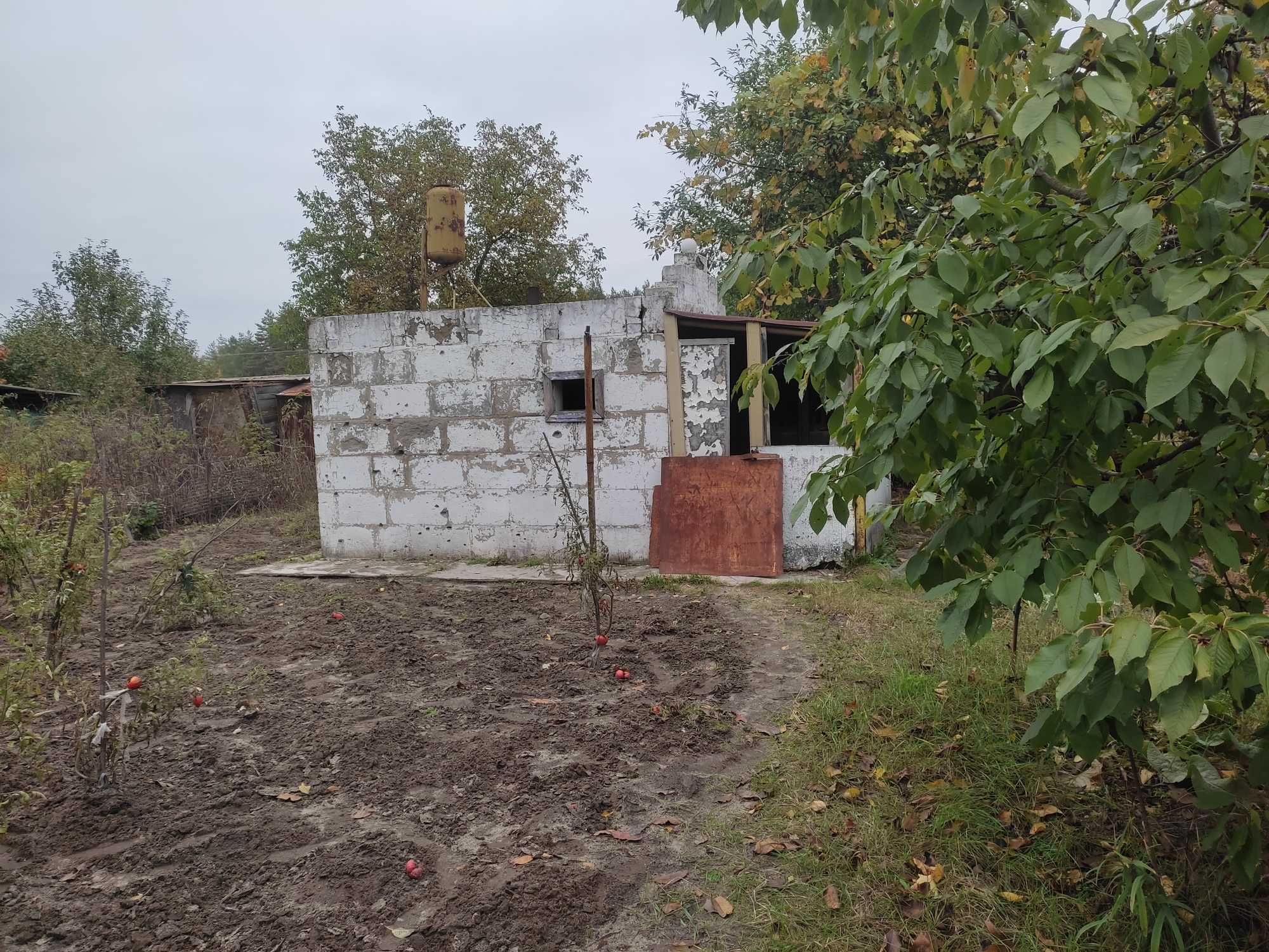Дачный участок с домиком