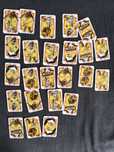 Karty domino Madagaskar 2001