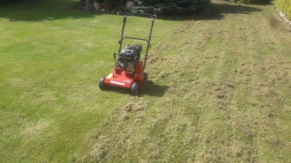 Ogrodnik Pielęgnacja utrzymanie terenów zielonych Usługi ogrodnicze