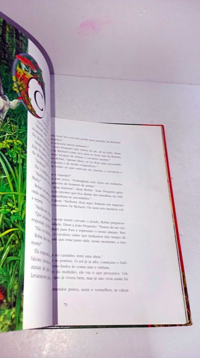 A História de Robin dos Bosques