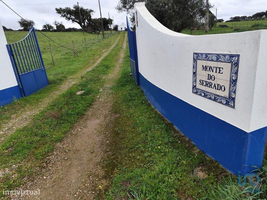 Quinta T10 em Santo Amaro de 271,00 m2