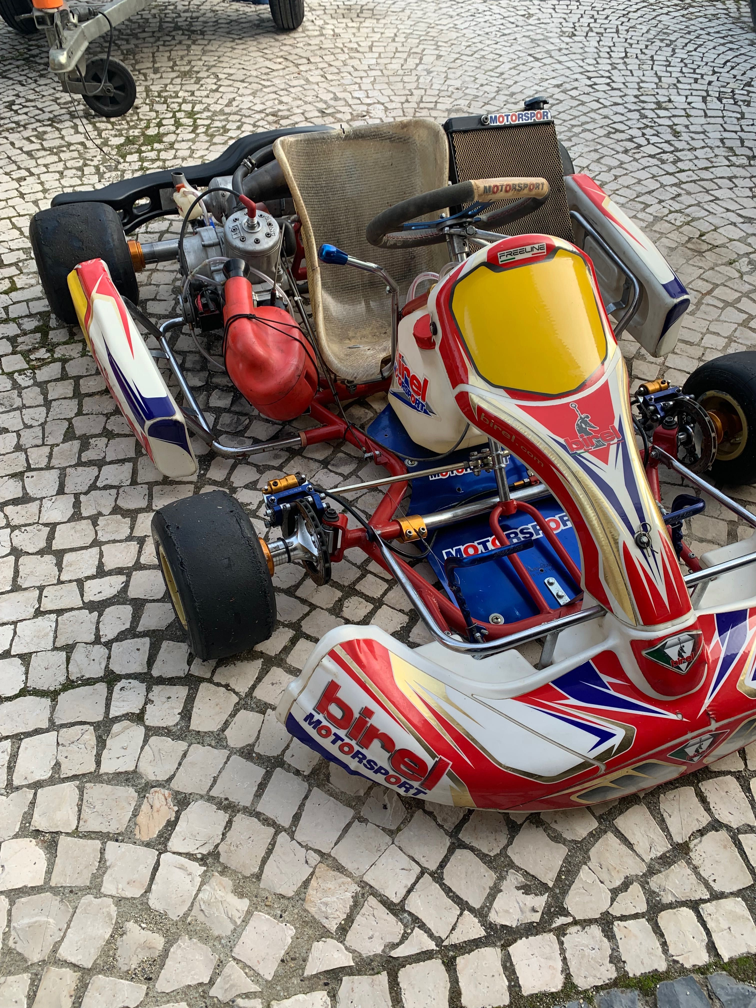 Karting birel Motor TM