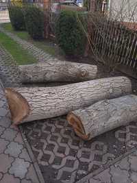 Drewno z orzecha włoskiego