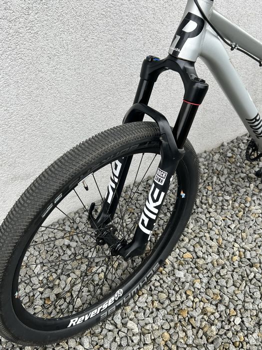 rose the bruce 2 alaudark  2024 rozmiar l srebrny