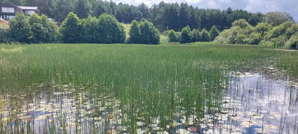 Koszenie trzciny , odmulanie , czyszczenie stawów I akwenów wodnych.