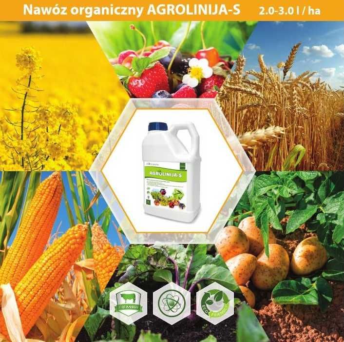 Nawóz ekologiczny AGROLINIJA-S humus aminokwasy 5L nawozu na 2ha