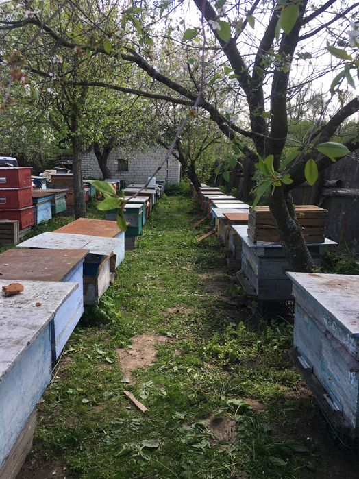 СВЕЧИ ВОСКОВЫЕ (100% чистый воск) !!!