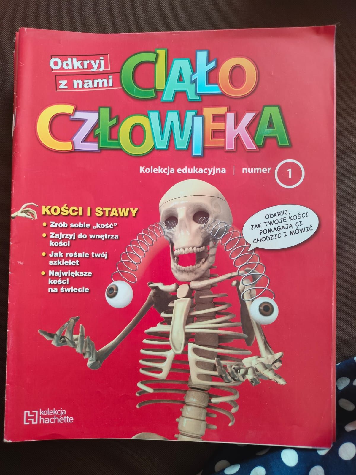 Ciało człowieka - gazetki