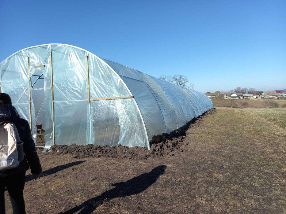 Продається домогосподарство у селі Вільшаниця (Івано-Франківська обл.)