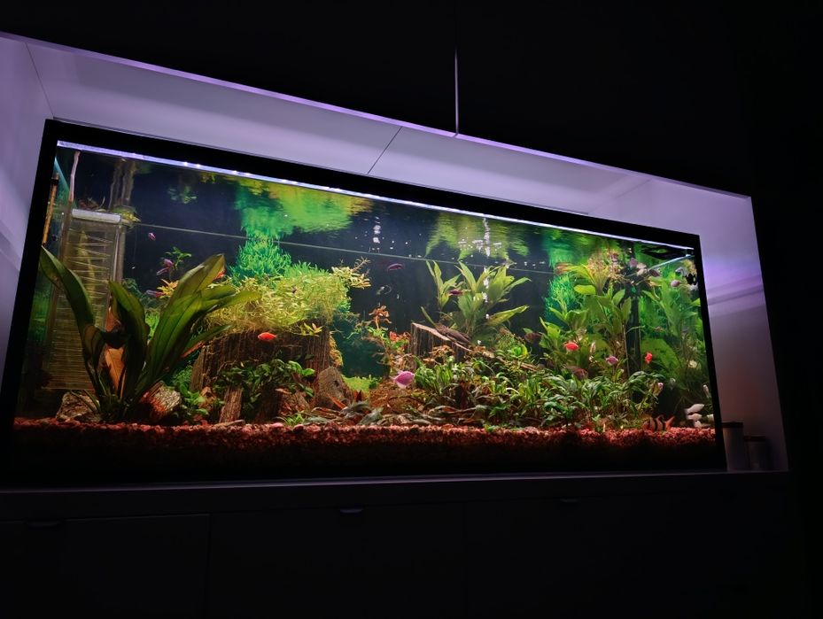 Акваріум 450 літрів повний комплект.