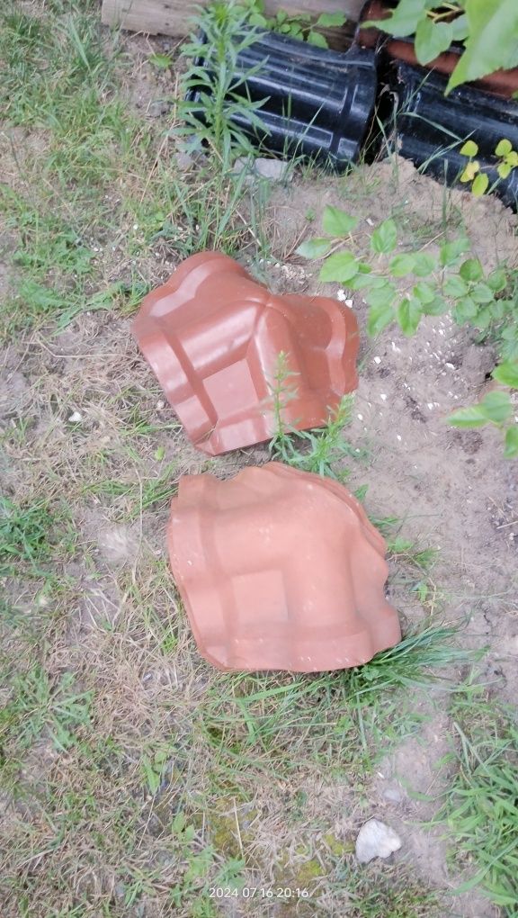 Roben trójniki gąsiory inne