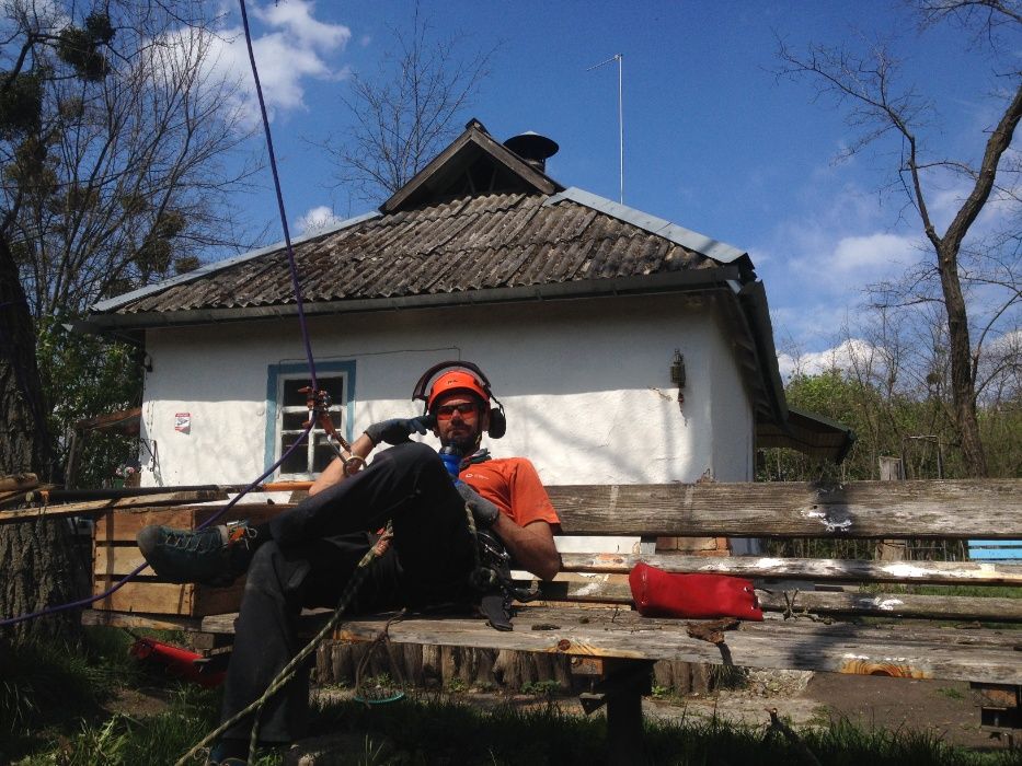 Видалення та обрізка дерев. Спиляти дерево