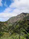 Terreno  para venda