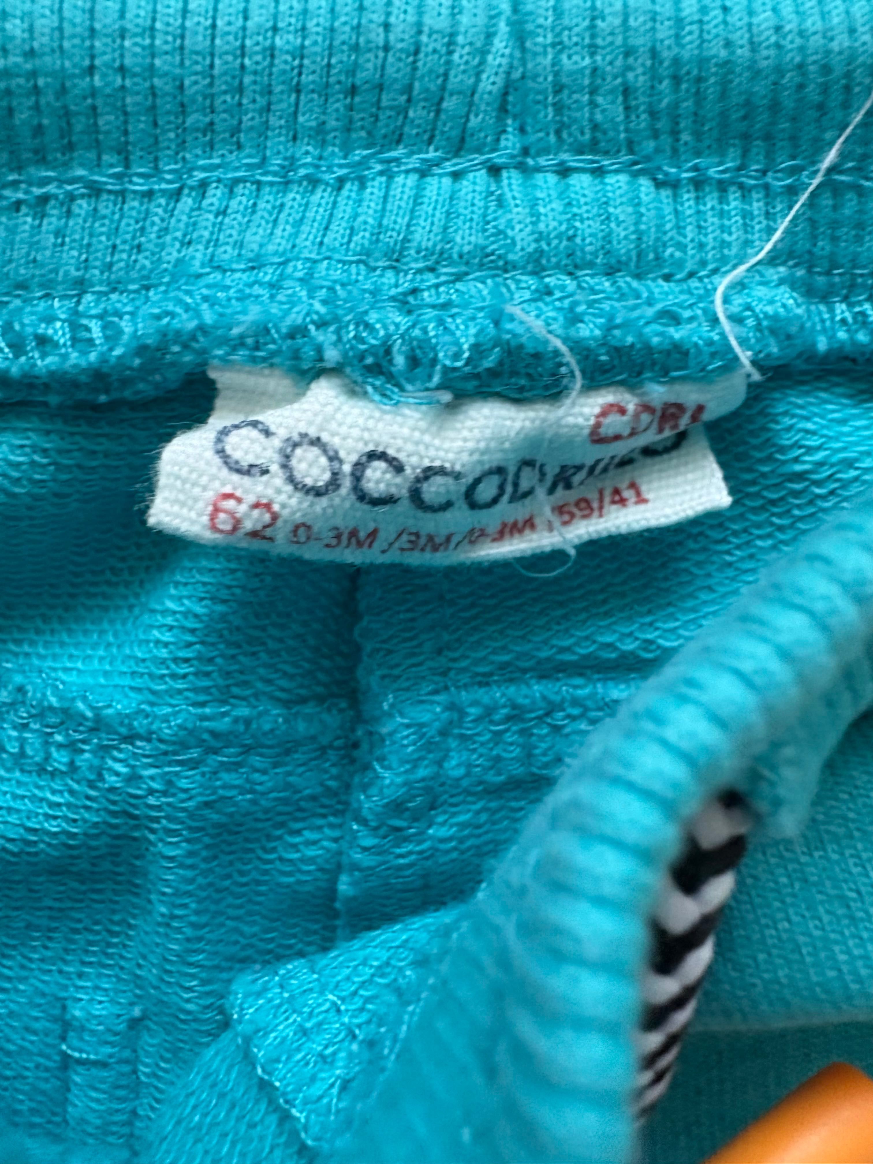 Spodnie Coccodrillo w rozmiarze 62