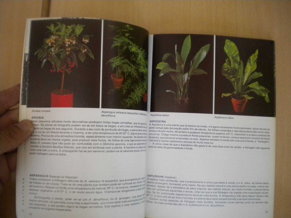 Plantas de Interior
de Rob Herwig