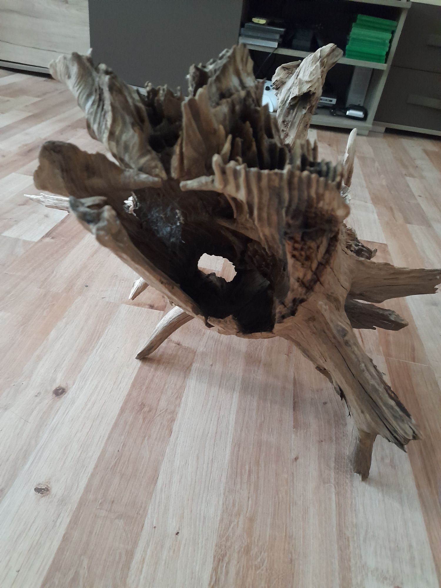 Korzeń do terrarium akwarium