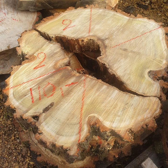 Plastry drewna na stoliki kawowe