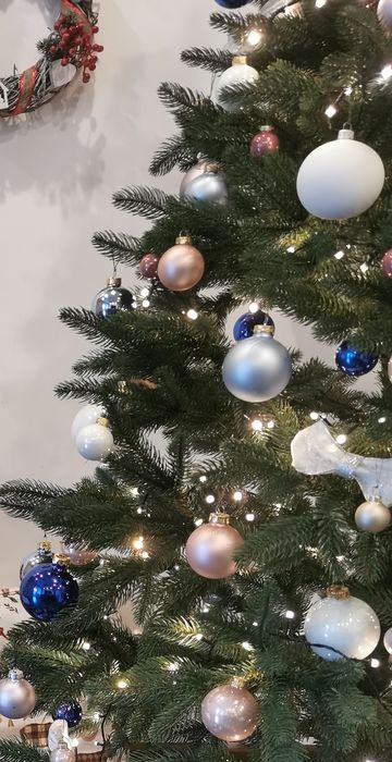 Ялинка лита  Преміум 175 Смерека