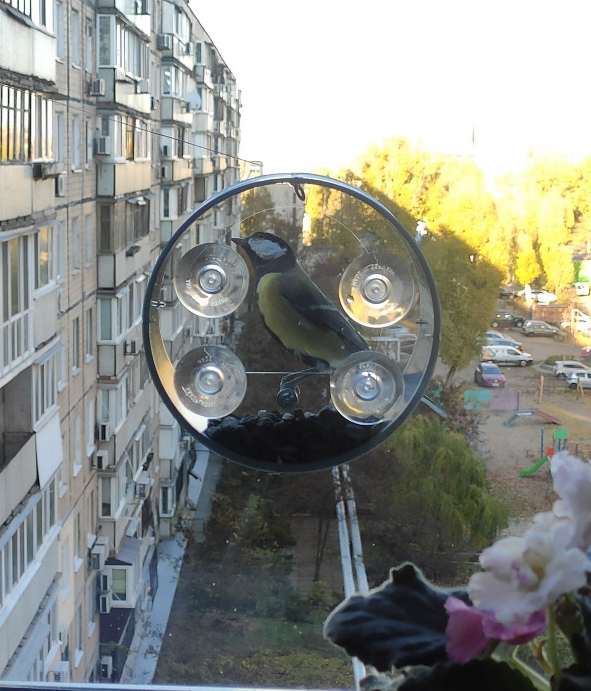 Кормушка для птиц на окно