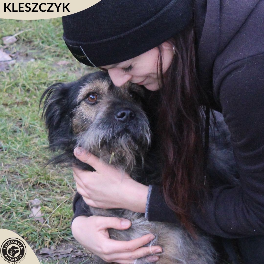 Kleszczyk-pokochaj go.