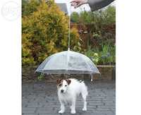 Guarda chuva para cão