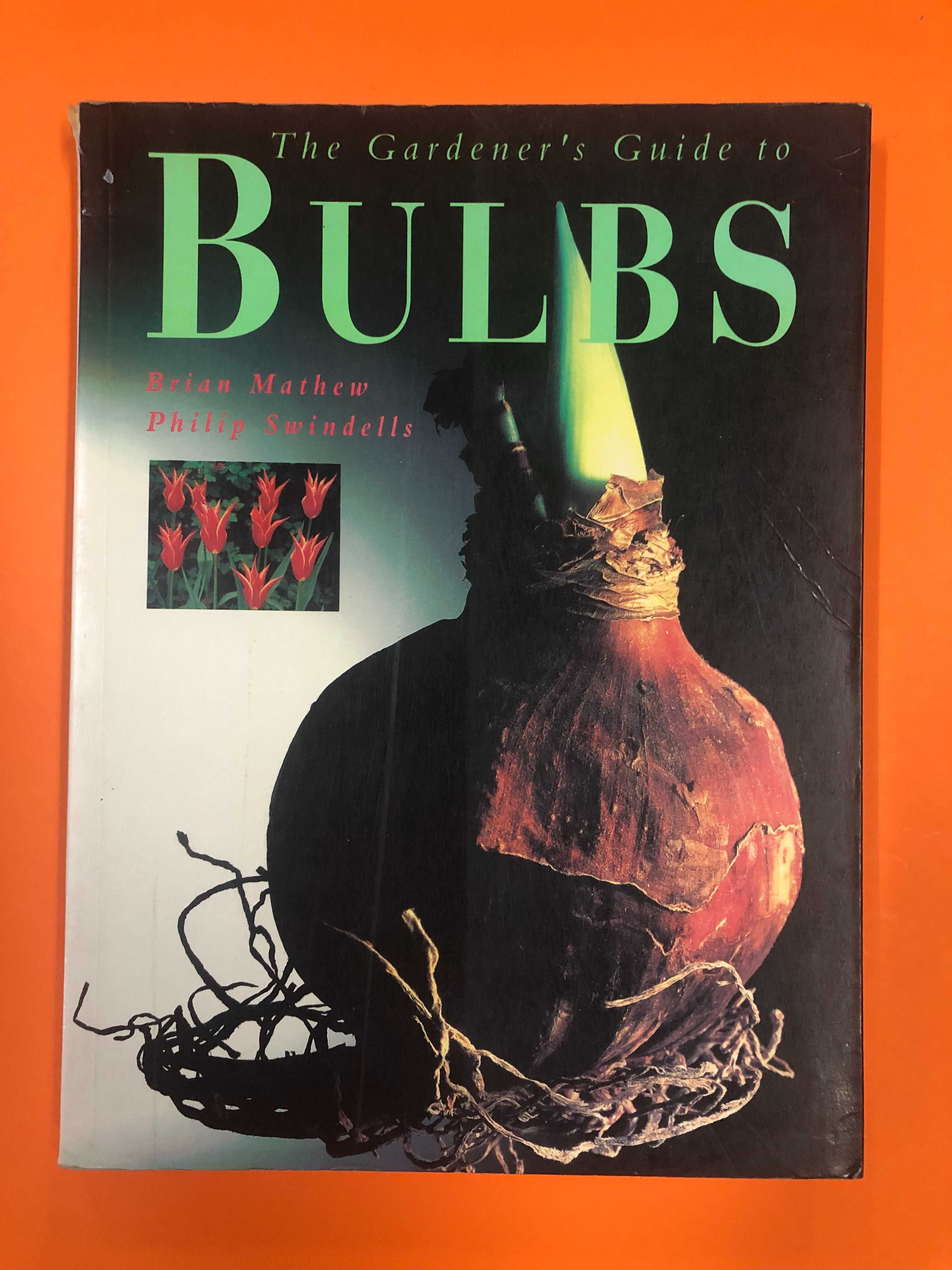 Botânica : Bulbs – The gardener’s guide