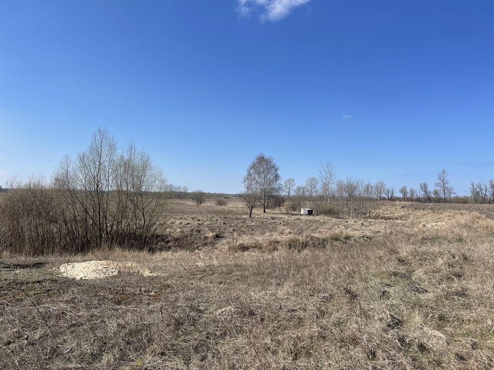 Продам ділянку 39 соток Погреби Броварський р-н