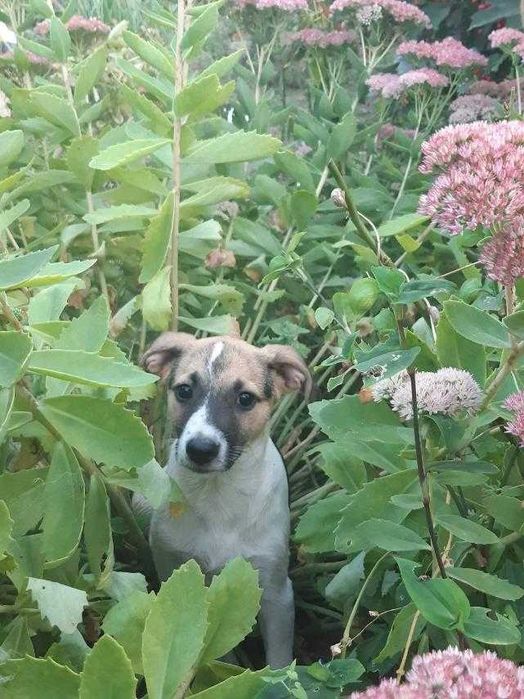 Славная девчушка ждет свою семью