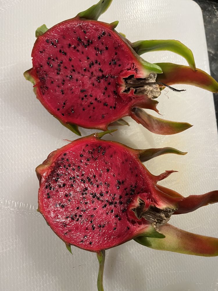 Pitaya fruto do dragão