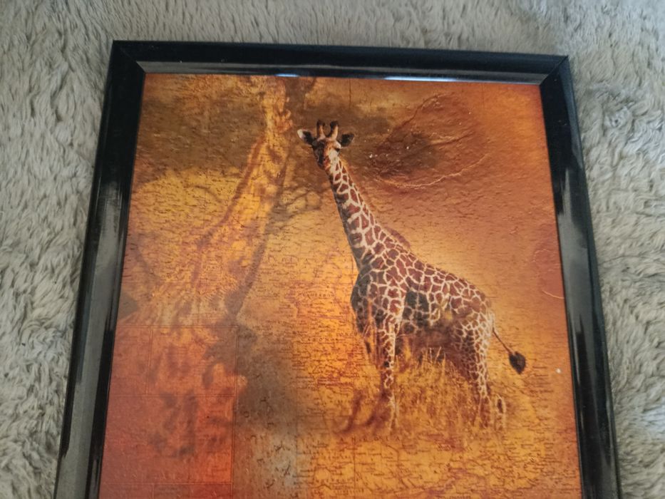 3 obrazki safari słoń żyrafa retro vintage