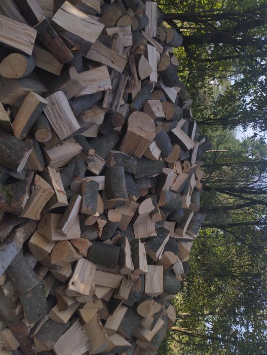 Drewno opałowe Buk/sosna