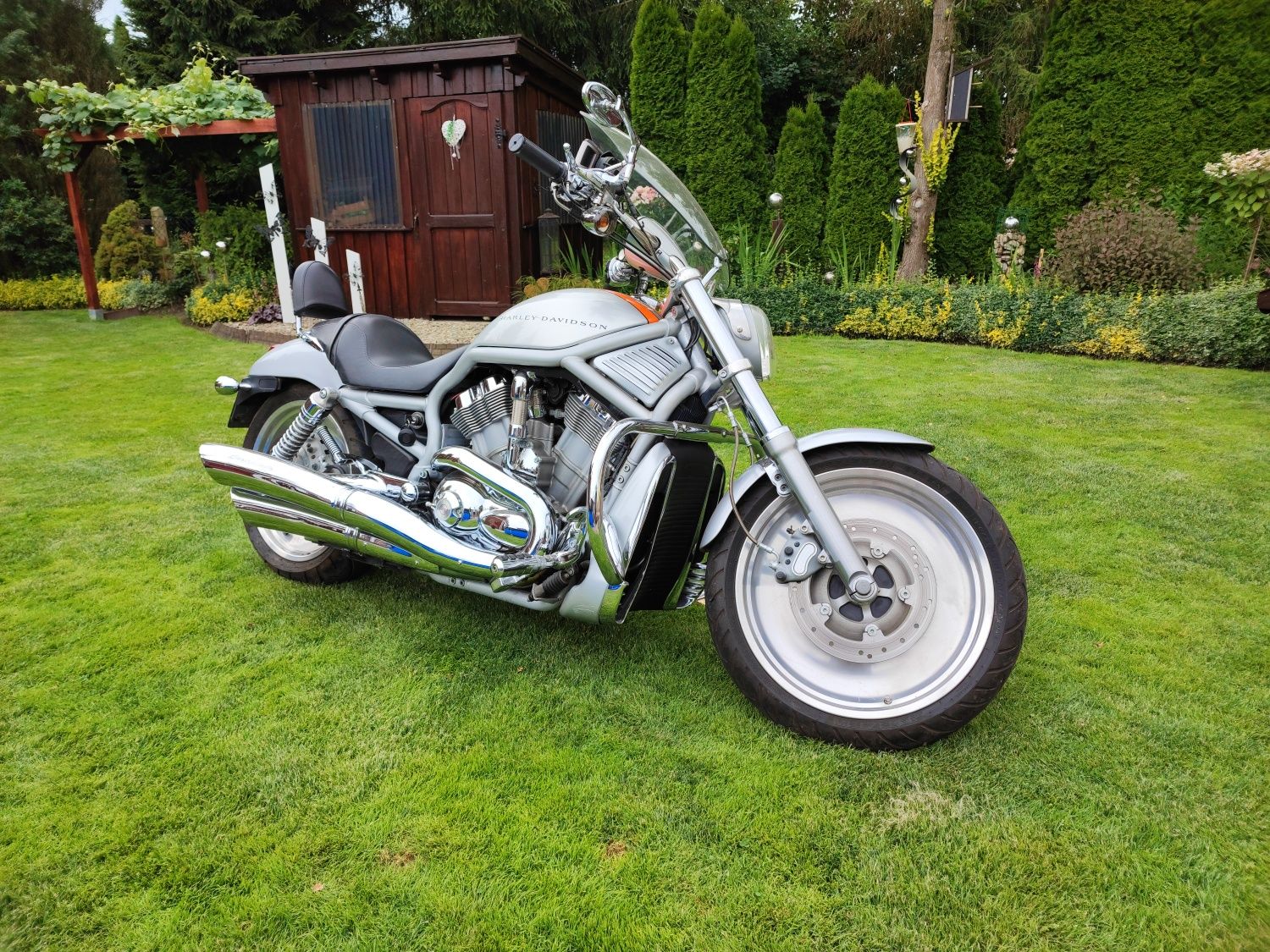 Harley Davidson V-Rod