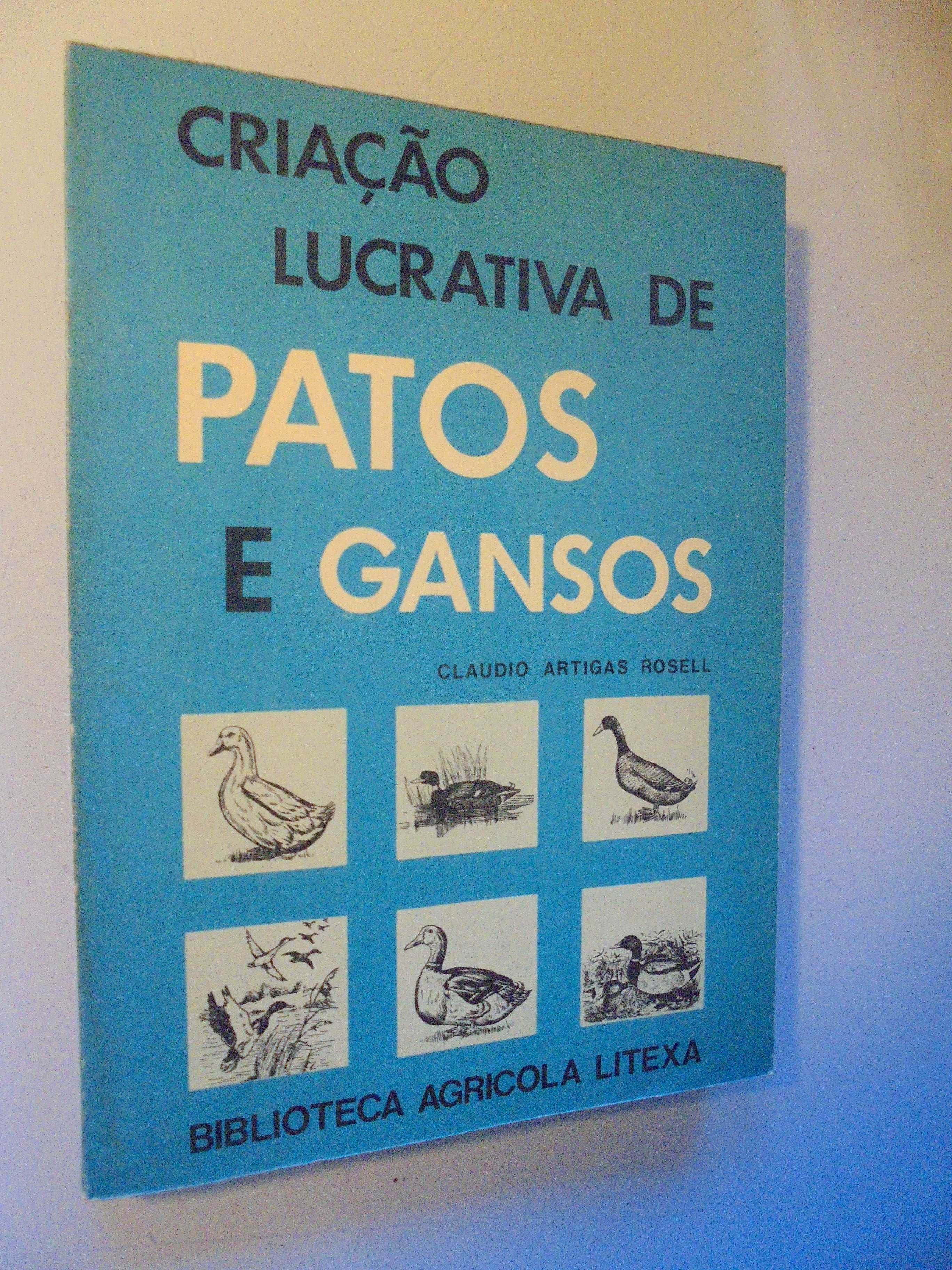 Rosel (Claudio Artigas);Patos e Gansos