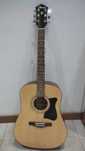 Guitarra Ibanez V50NPJ