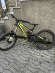 Scott gambler