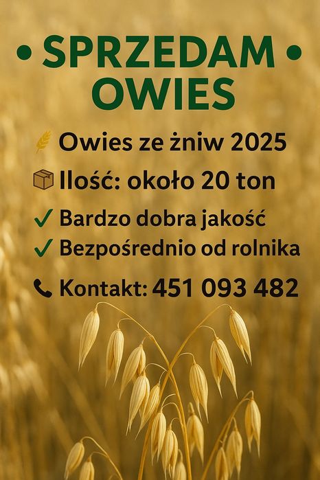 Sprzedam owies 2025