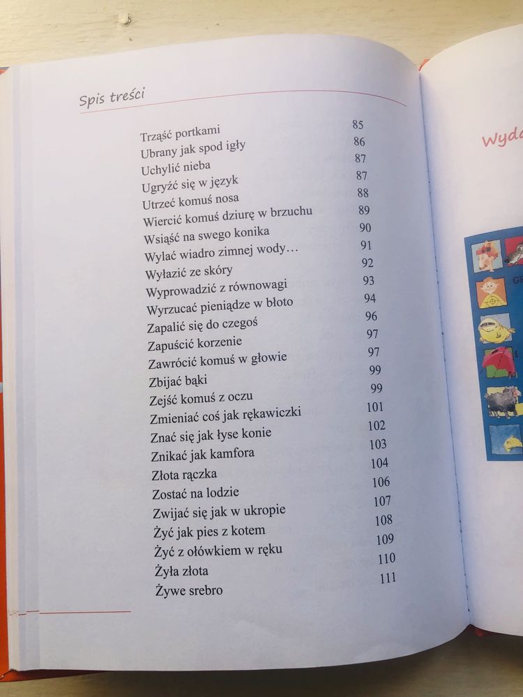 Co to znaczy... 101 zabawnych historyjek - 2 ksiazki - Kasdepke