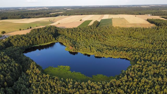 Duża działka rekreacyjno-inwestycyjna z jeziorem