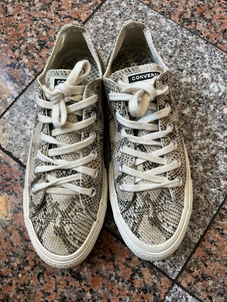 Trampki Converse Chuck Taylor zebra na lato