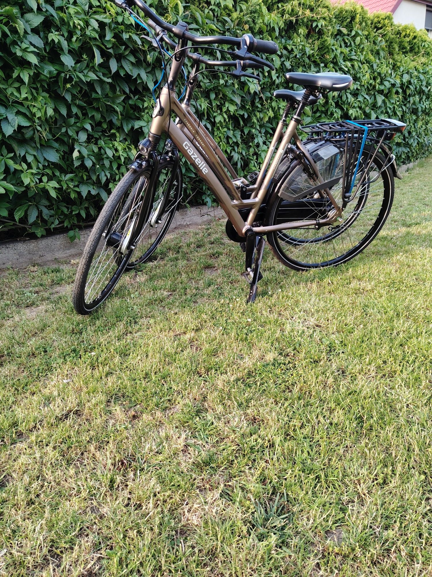 Gazelle Chamonix C7