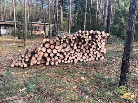 Drewno sosnowe opałowe z Transportem