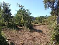 Lote de terreno industrial.