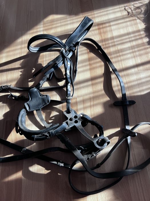 Kompletne ogłowie z hackamore