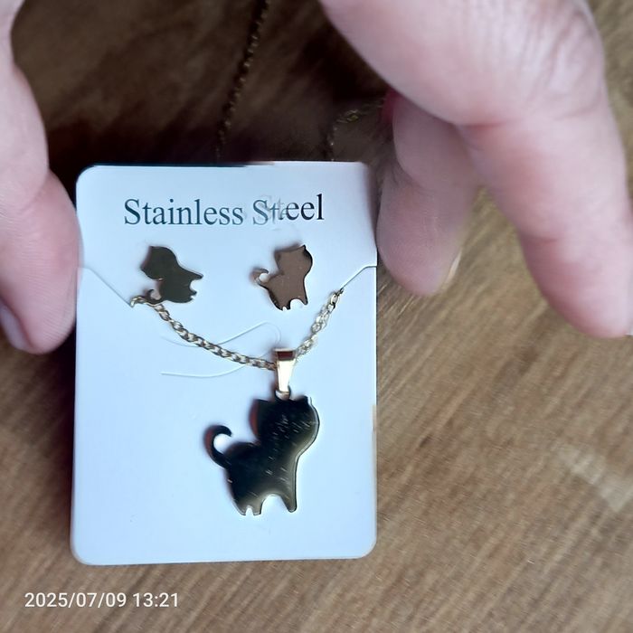 Nowy komplet stal nierdzewna kolczyki plus kolczyki kotki